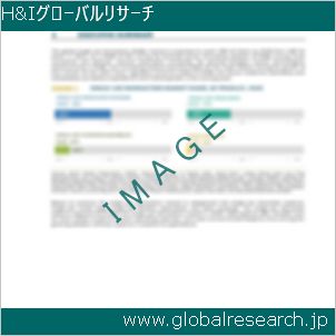 グローバルリサーチ調査レポートのイメージ